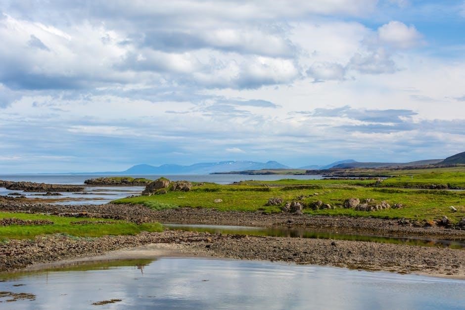 the floor is lava game instructions pdf